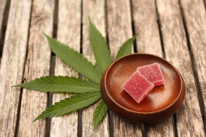 imagen de productos de CBD y la normativa sobre nuevos alimentos de la Unión Europea